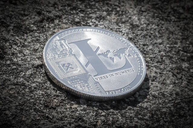 litecoin2