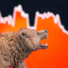 cryptobearmarket e1686560668928