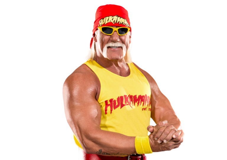 24011 6 hulk hogan image